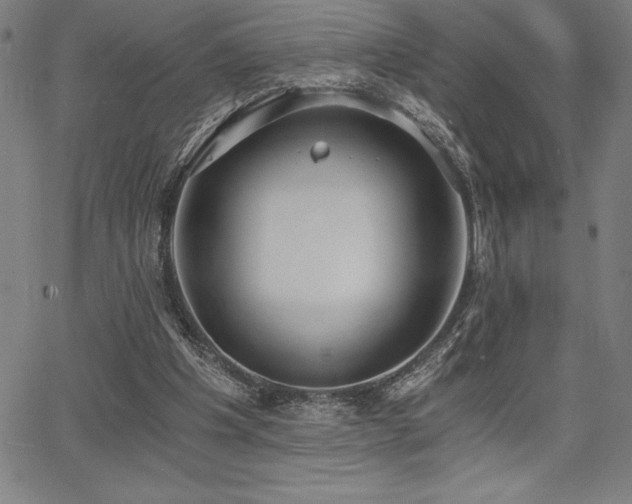 X0000068260201200604211053