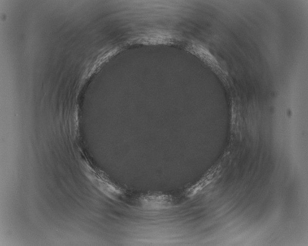 X0000068260202200604211053