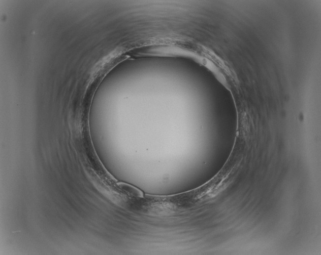 X0000068260203200604211053