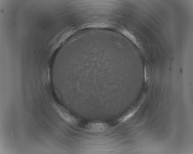 X0000068260205200604211053