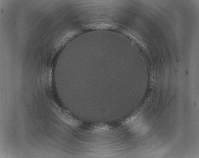 X0000068260206200604211053