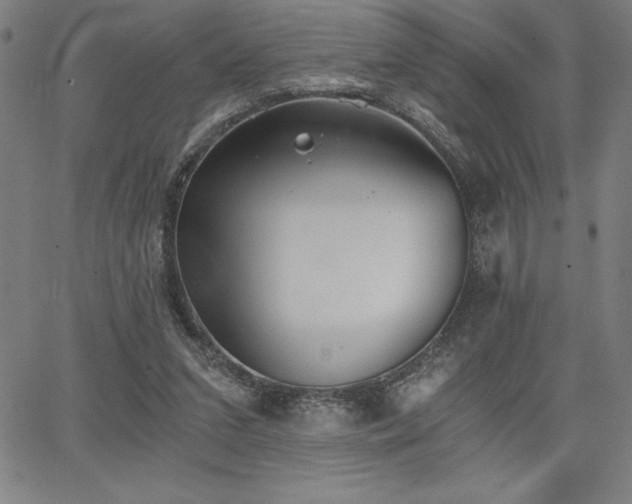 X0000068260207200604211053