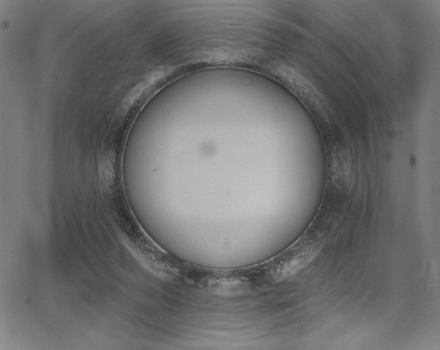 X0000068260208200604211053