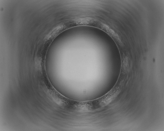 X0000068260209200604211053