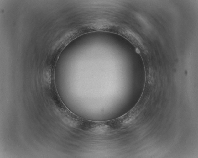 X0000068260210200604211053