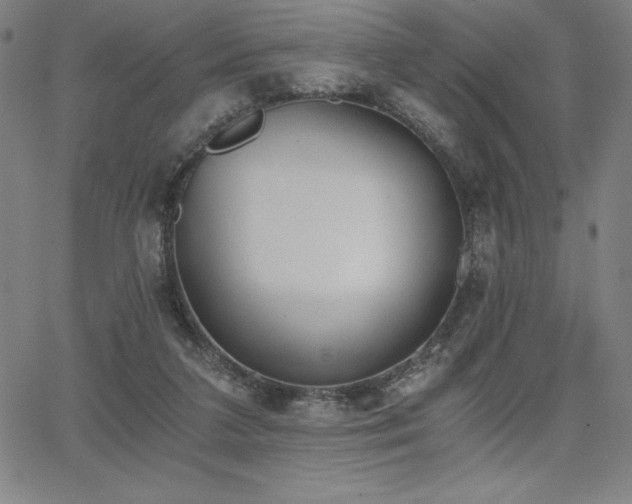 X0000068260211200604211053