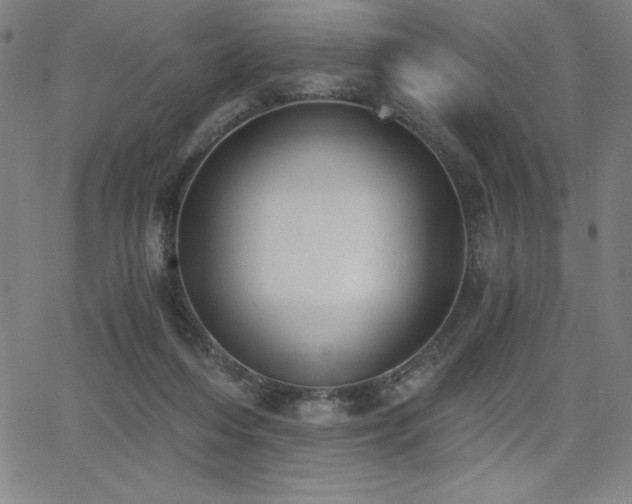 X0000068260216200604211053