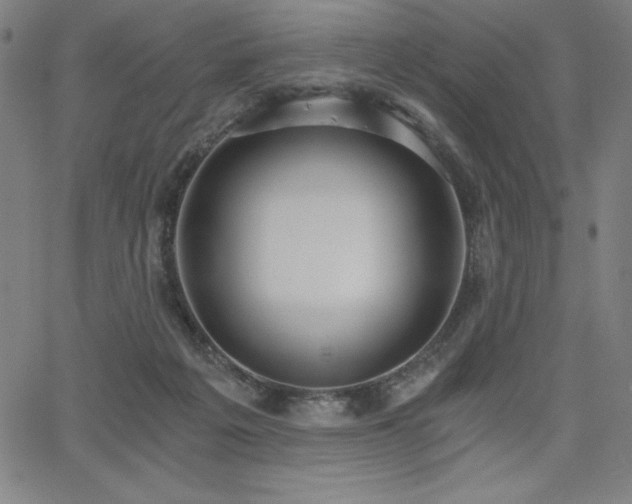 X0000068260217200604211053