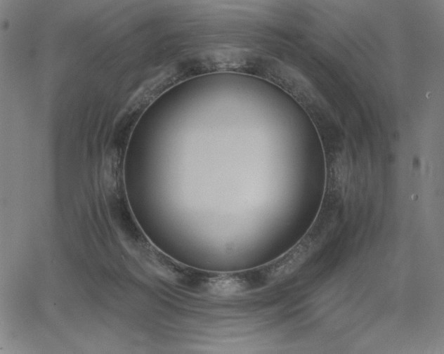 X0000068260218200604211053