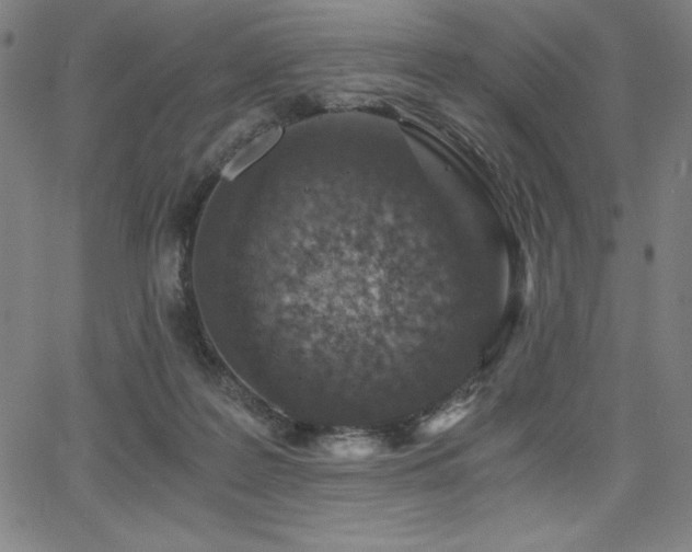 X0000068260219200604211053