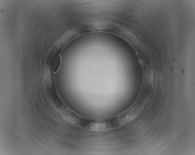 X0000068260220200604211053