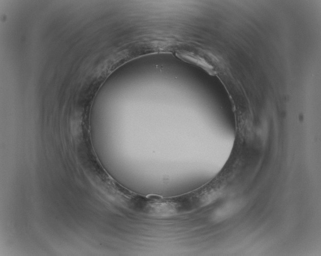 X0000068260221200604211053