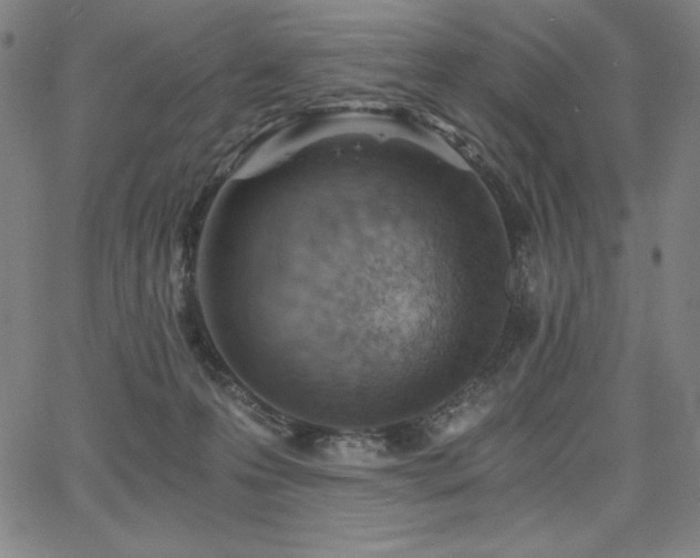 X0000068260223200604211053