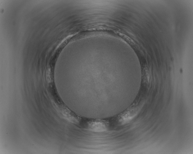 X0000068260224200604211053