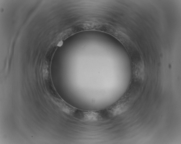 X0000068260226200604211053