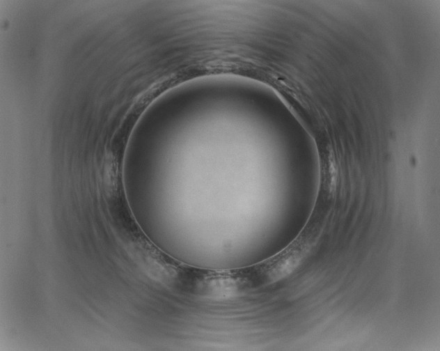 X0000068260228200604211053