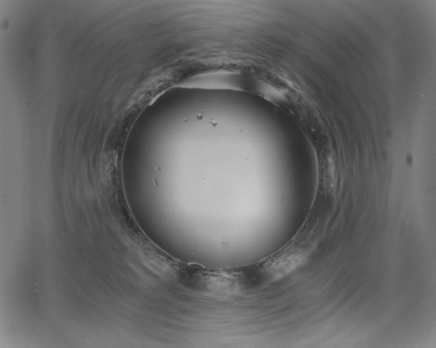 X0000068260229200604211053