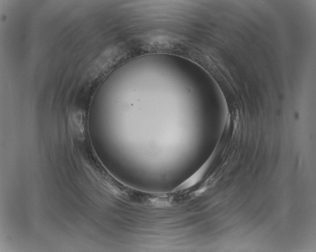 X0000068260232200604211053