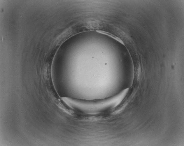 X0000068260233200604211053