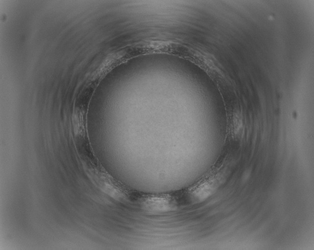 X0000068260236200604211052