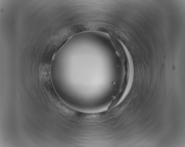 X0000068260237200604211052