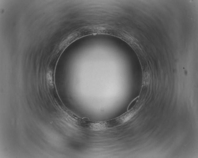 X0000068260238200604211052