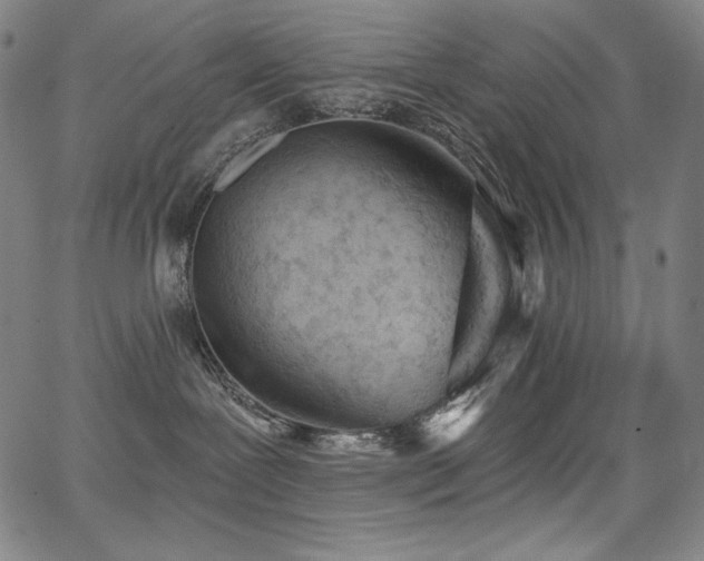 X0000068260239200604211052