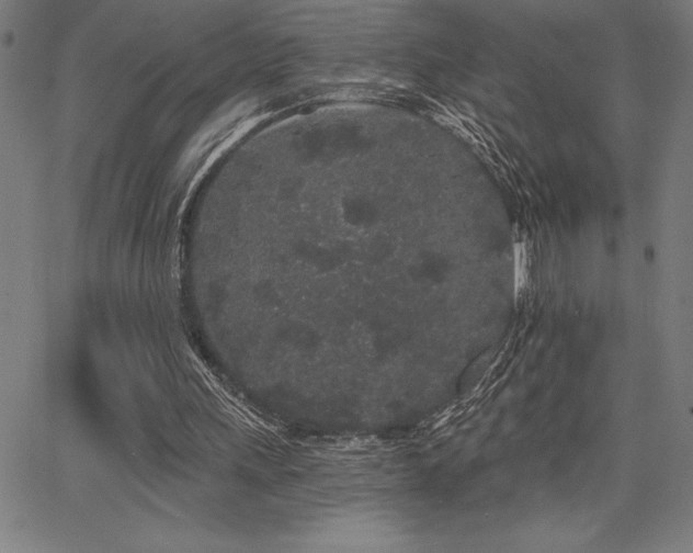 X0000068260243200604211052