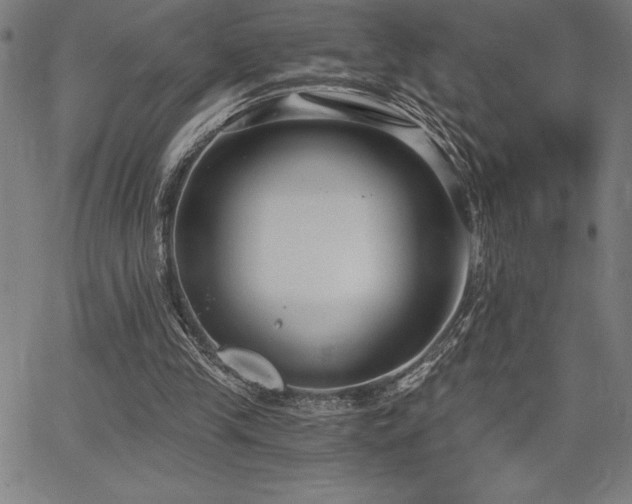 X0000068260245200604211052