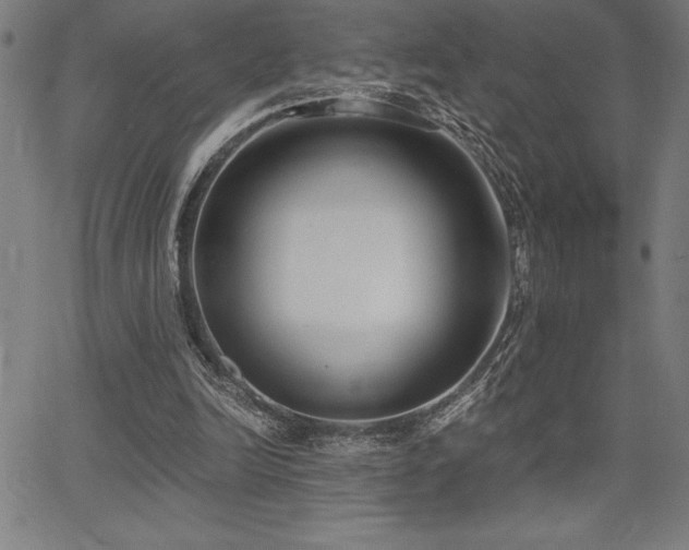 X0000068260246200604211052