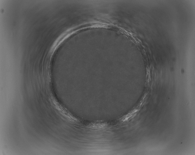 X0000068260247200604211052