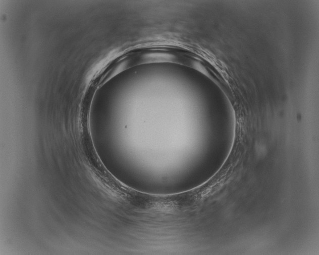 X0000068260248200604211052