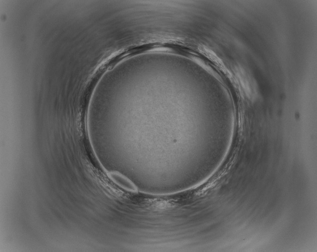 X0000068260249200604211052