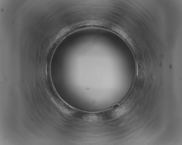 X0000068260253200604211052