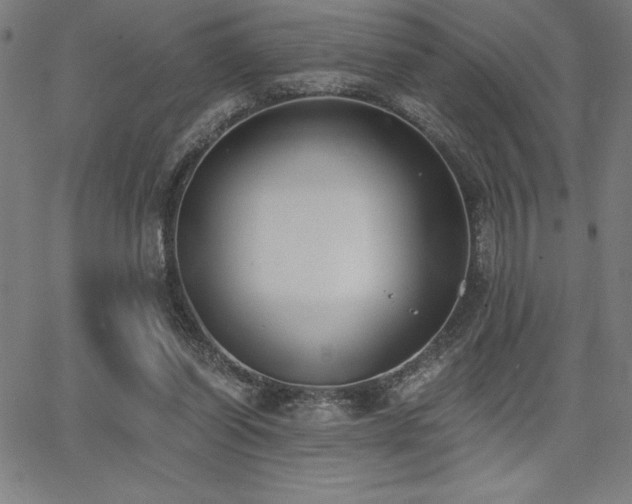 X0000068260254200604211052