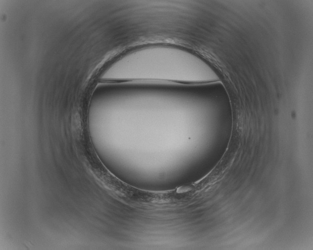 X0000068260256200604211052