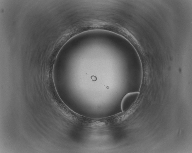 X0000068260257200604211052