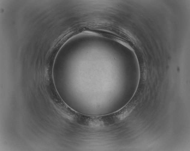 X0000068260258200604211052