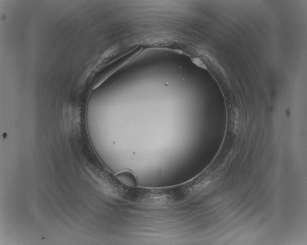 X0000068260260200604211052