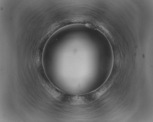 X0000068260261200604211052