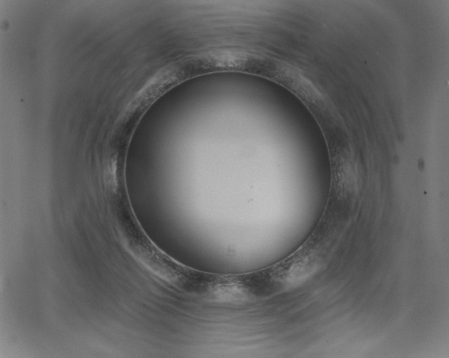 X0000068260262200604211052