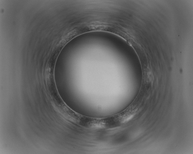 X0000068260263200604211052