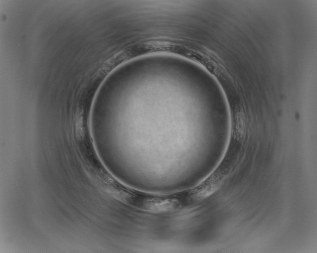 X0000068260267200604211052