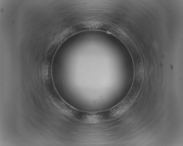 X0000068260268200604211052