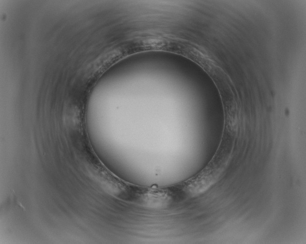 X0000068260270200604211052