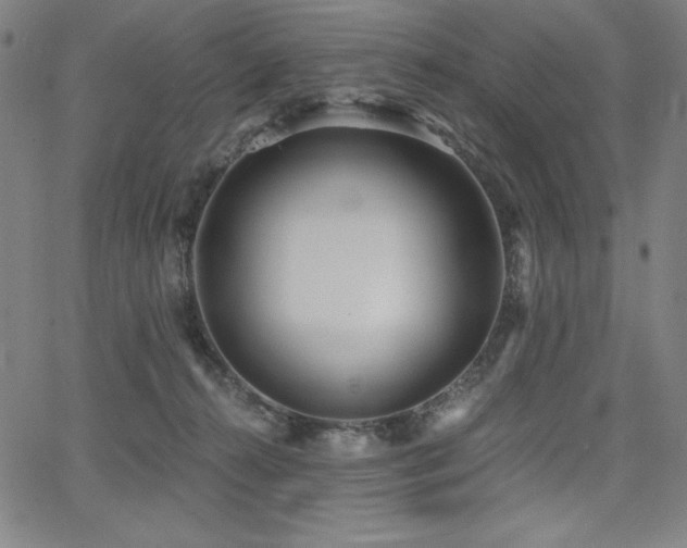 X0000068260272200604211052