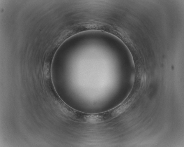 X0000068260273200604211052