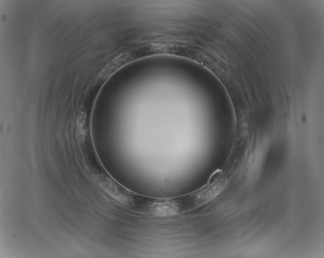 X0000068260275200604211052