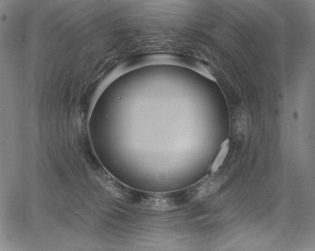 X0000068260276200604211052