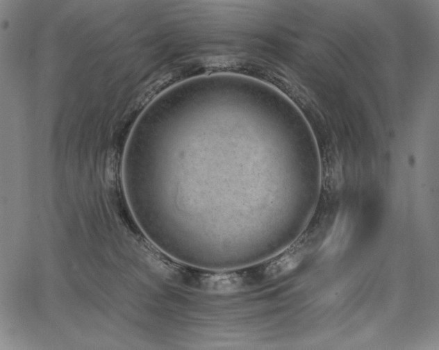 X0000068260277200604211052